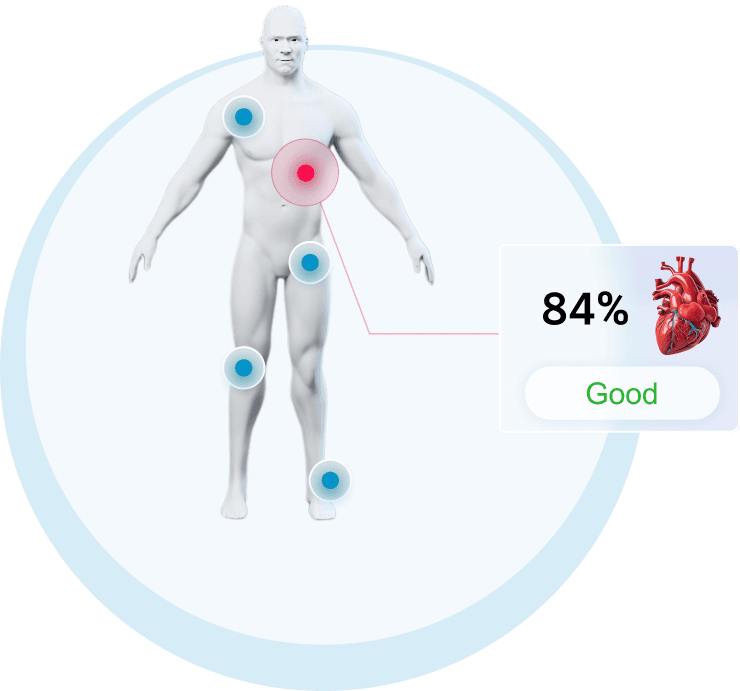 Full Body Analysis